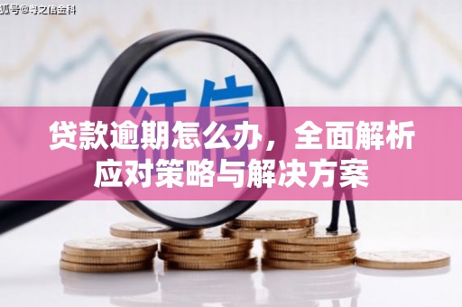 天台贷款逾期怎么办，全面解析应对策略与解决方案