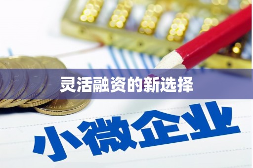 天台灵活融资的新选择
